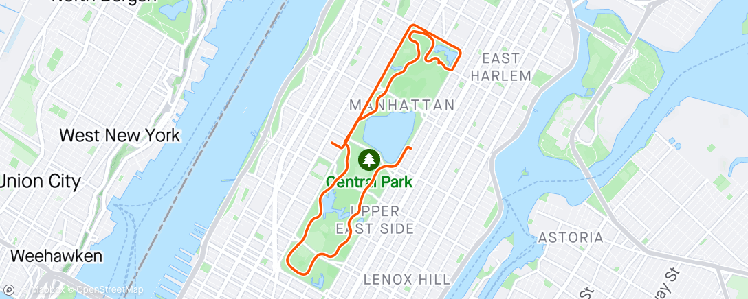 Map of the activity, Park time on the Citi bikes