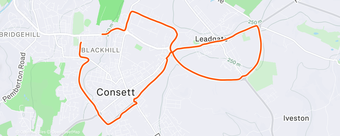 Map of the activity, 10k felt like 10miles and all uphill