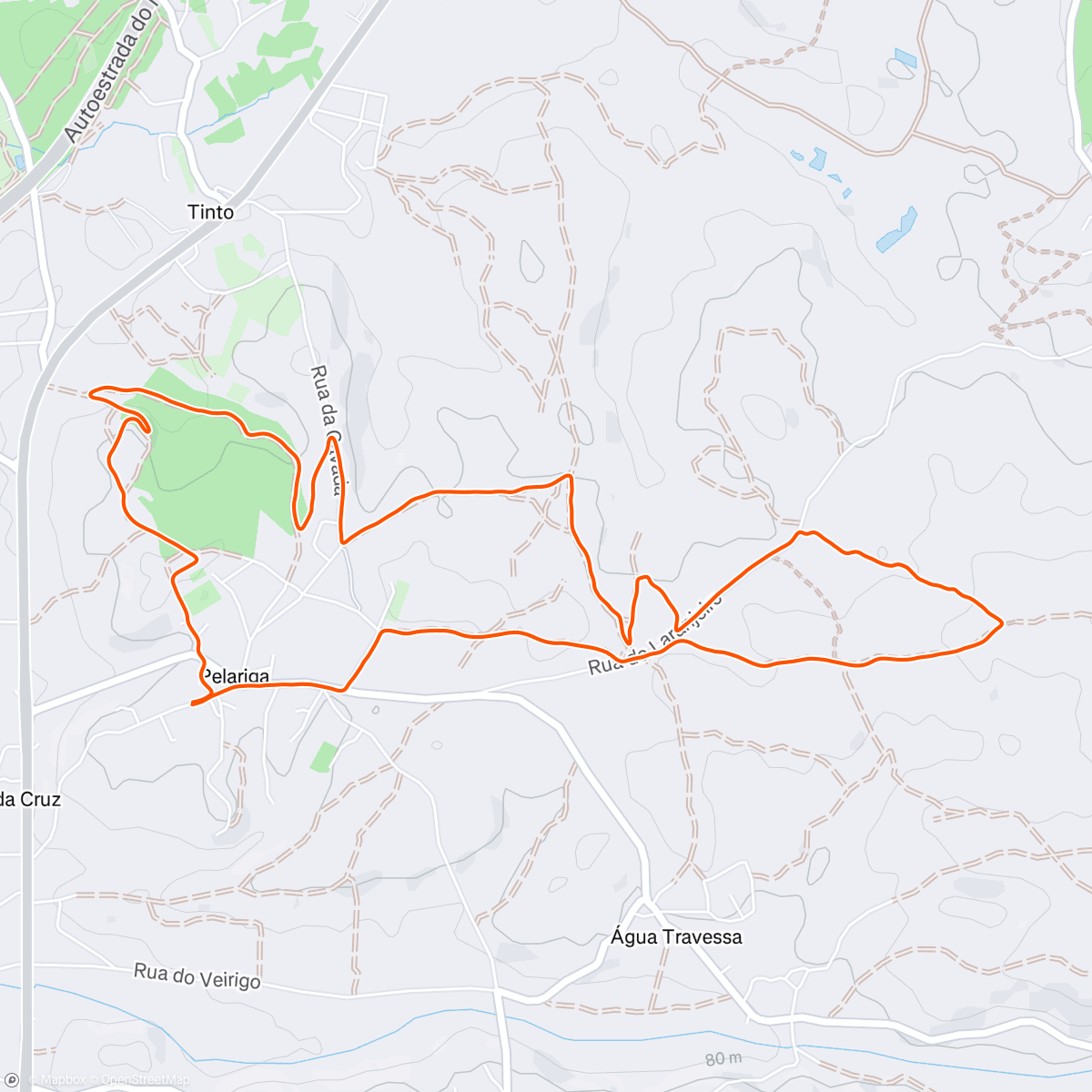 Map of the activity, #P098