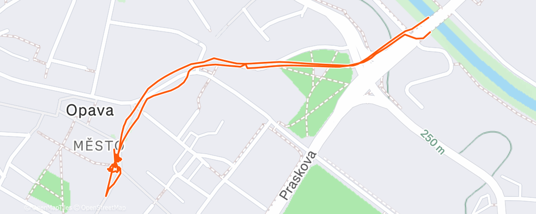 Карта физической активности (Evening Walk)