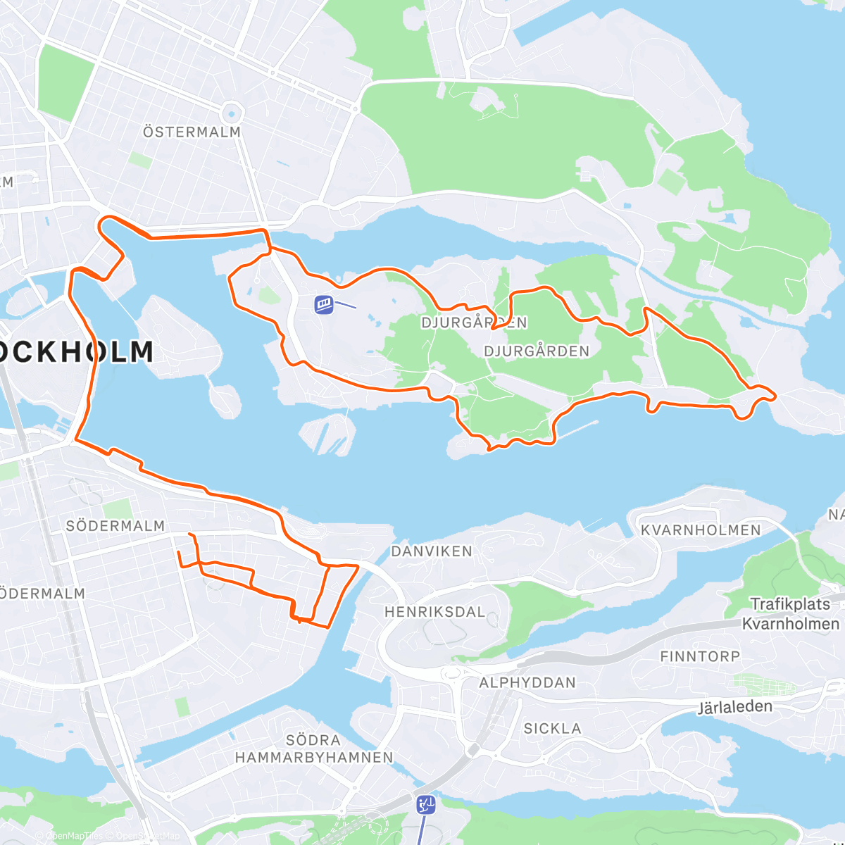 Map of the activity, SATISFY LSD