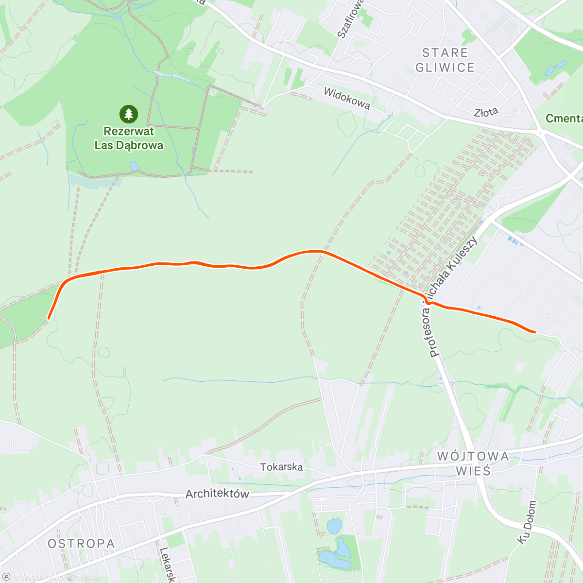 Mapa de la actividad (Afternoon Walk/Run)