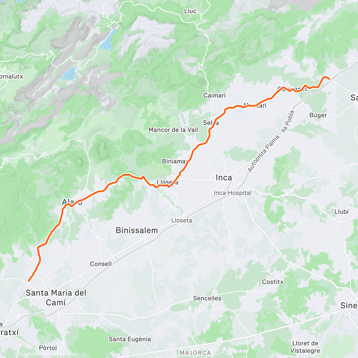 Mapa de la actividad (ROUVY - Santa Maria del Calmi to Sa Pobla | Mallorca)