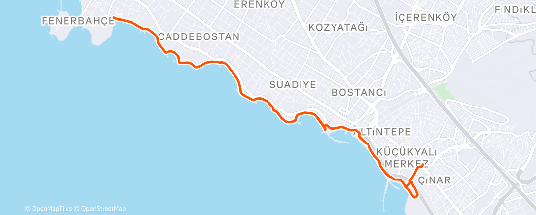 Карта физической активности (Evening Run)