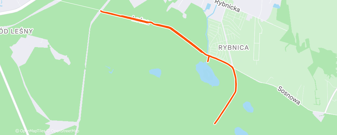 Map of the activity, Lunch Walk