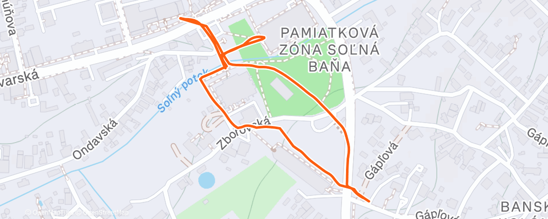 Карта физической активности (Afternoon Walk)