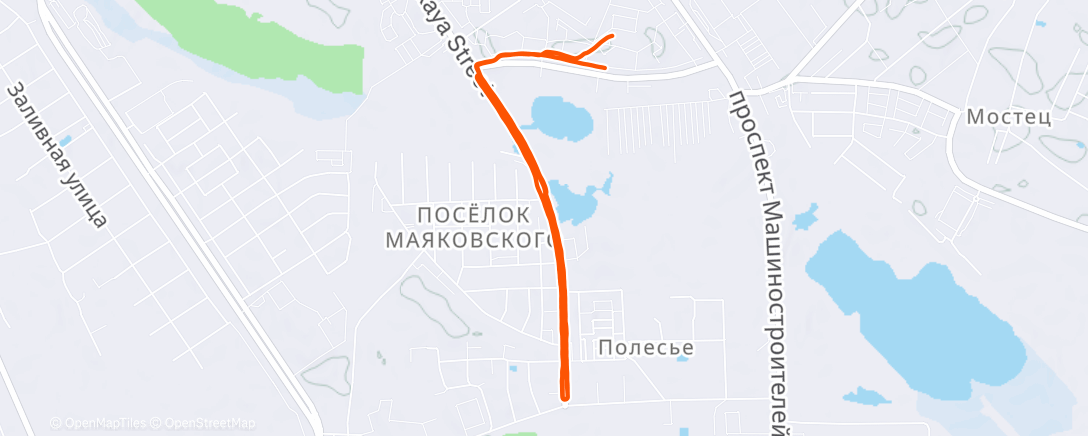 Map of the activity, Дневной забег