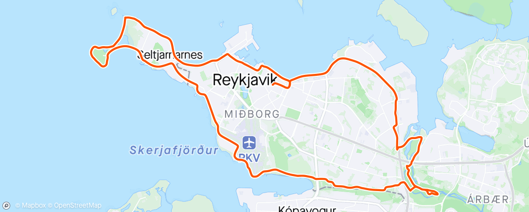 Map of the activity, Reykjavik 💨