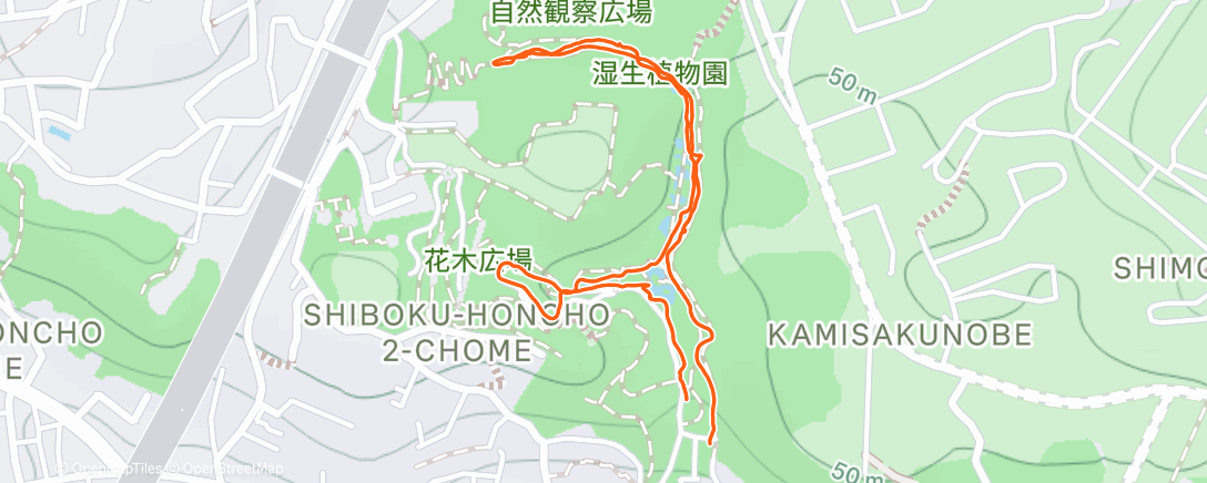 Карта физической активности (ランチタイム ウォーキング)