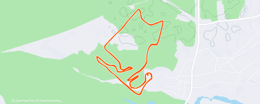 Карта физической активности (Дневной забег)