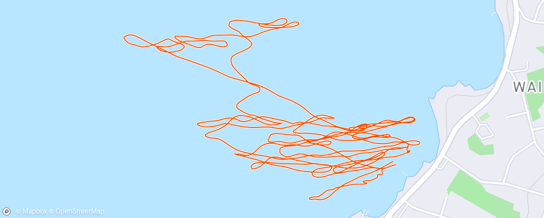 Map of the activity, Wingfoil, Afternoon (Waterspeed)