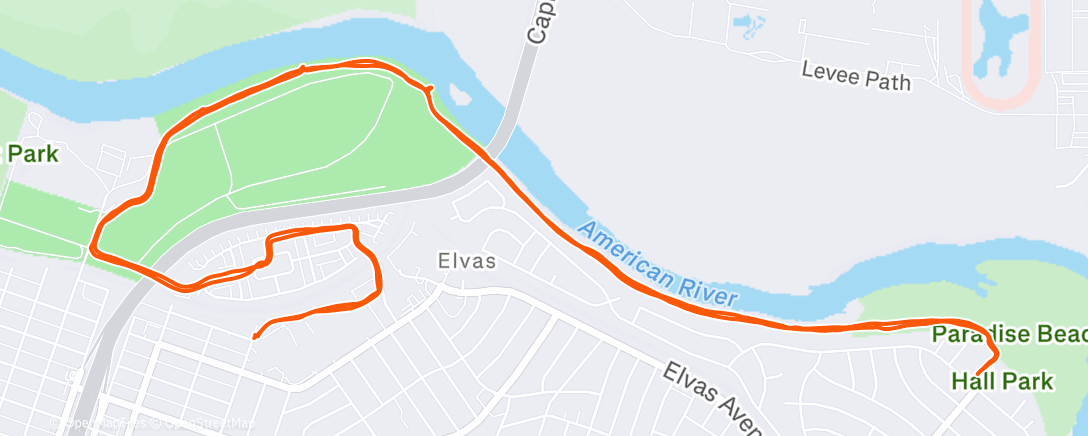 Карта физической активности (Morning Run)