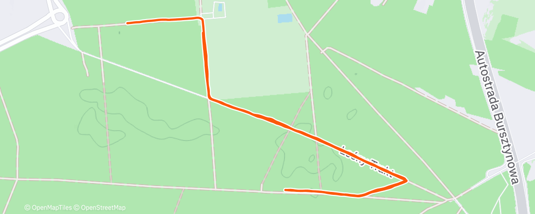 Map of the activity, Morning Run