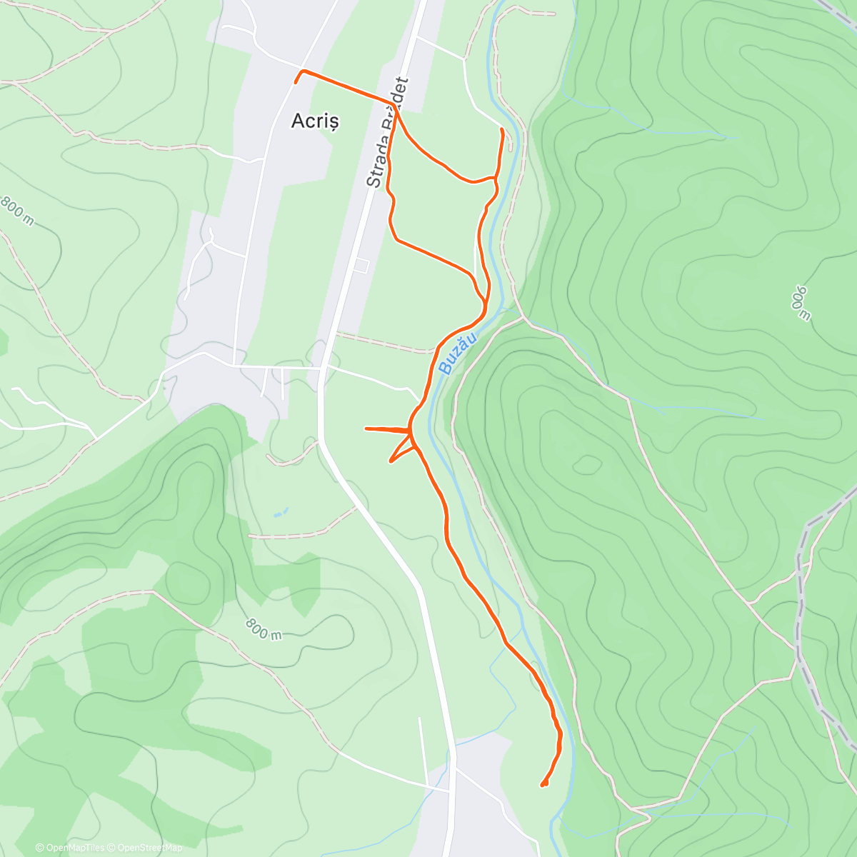 Map of the activity, Morning Trail Run