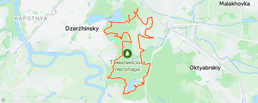 Map of the activity, Трейлраннинг (день)