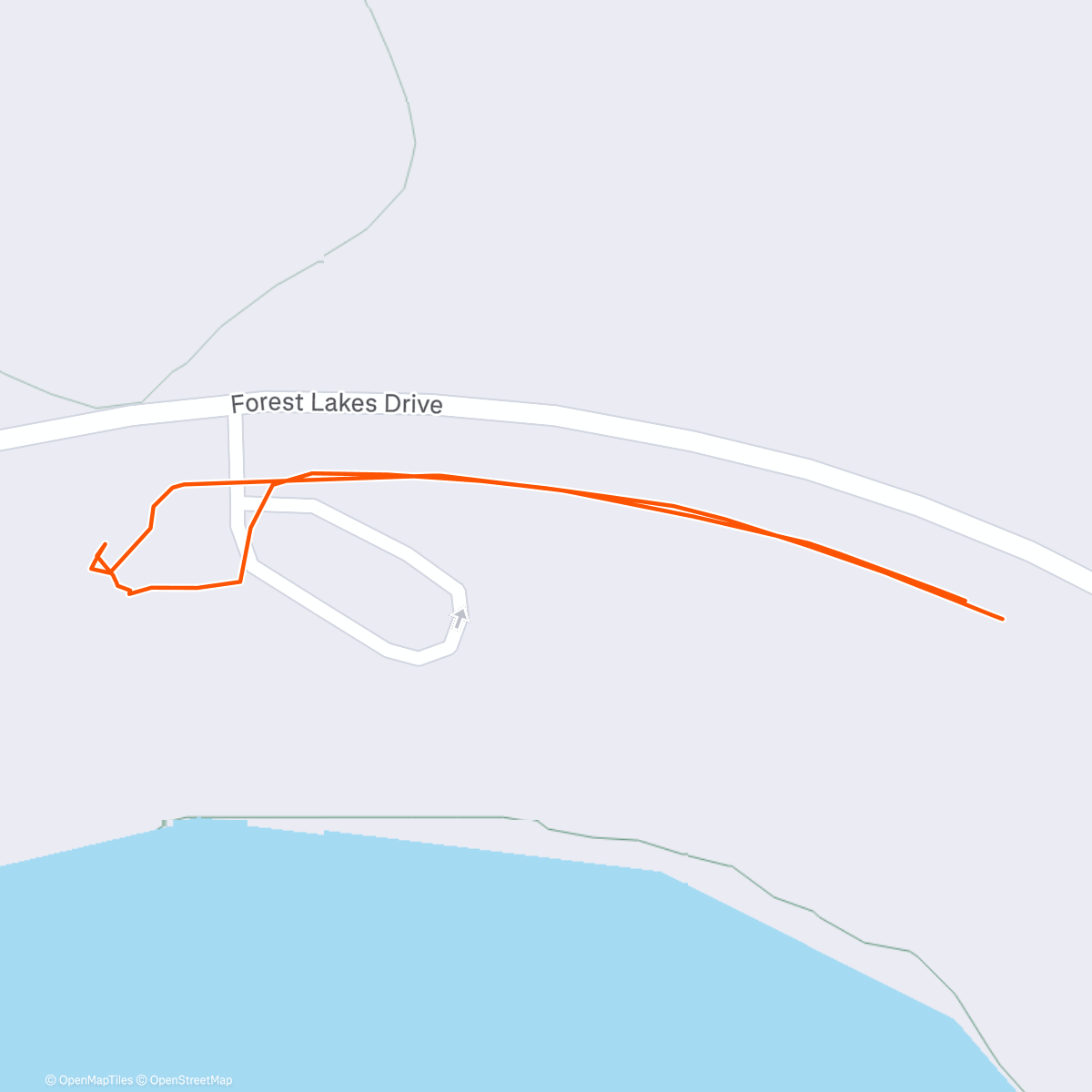 Карта физической активности (Afternoon mail walk.)