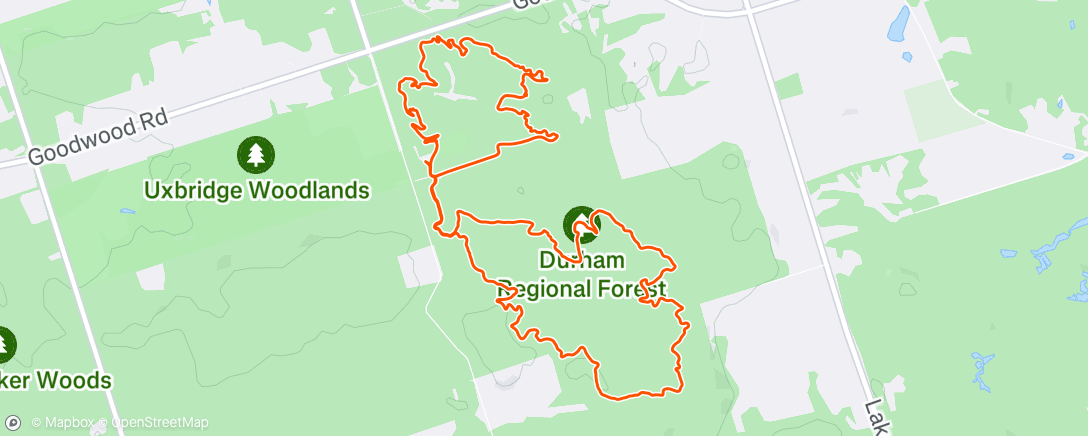 Карта физической активности (Fatbike with Dad 🫶)