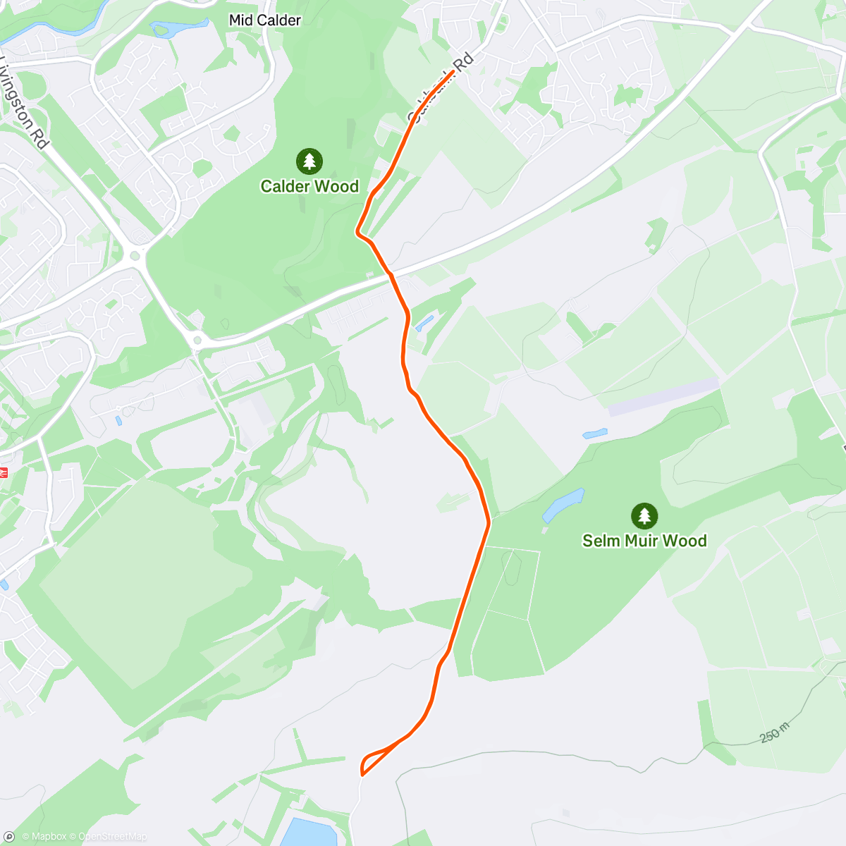 Map of the activity, Afternoon Run