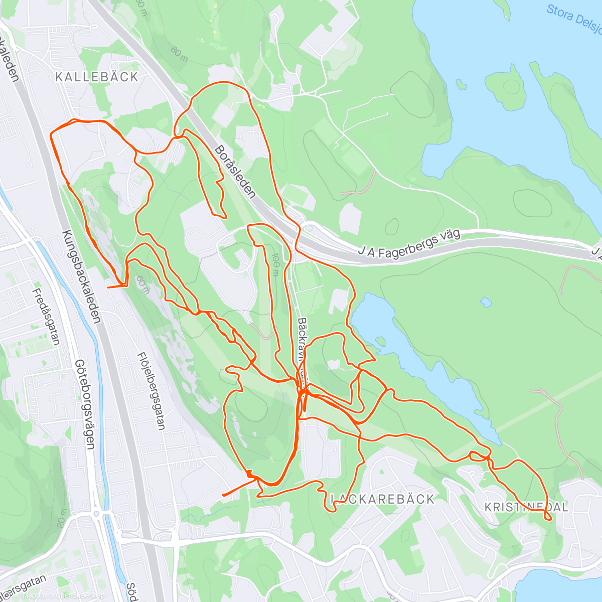 アクティビティ「Överlevde, swecup Gbg emtb」の地図