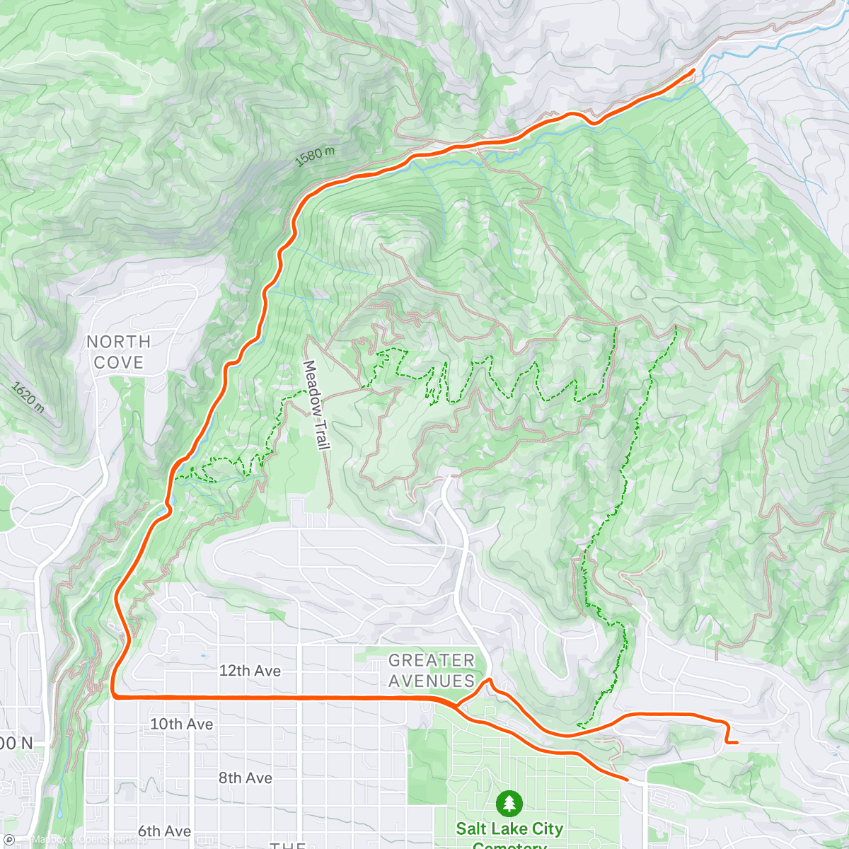 Карта физической активности (Lunch Run)