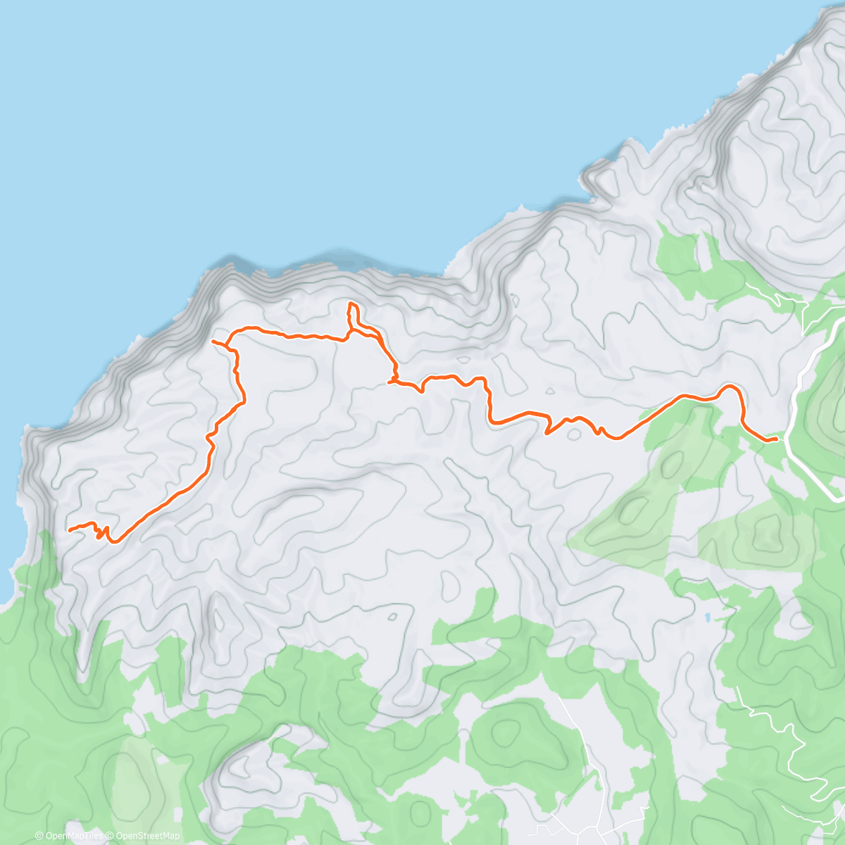 Карта физической активности (Sunday trail run)