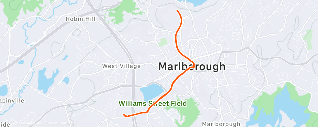 Map of the activity, Morning Run