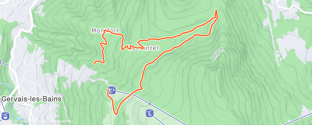 Карта физической активности (Afternoon Trail Run)