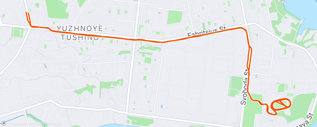 Map of the activity, Дневной забег