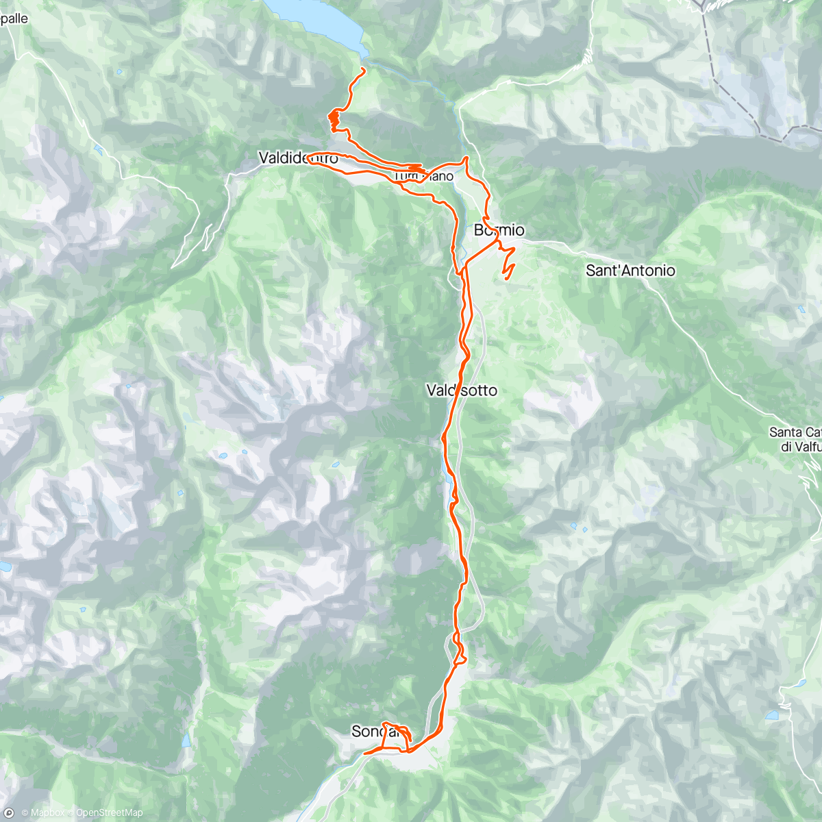 Map of the activity, Wild flower