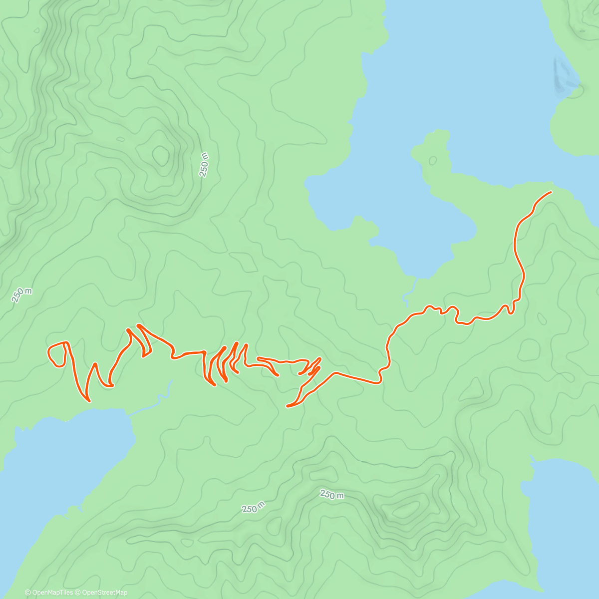 Map of the activity, Pre eashl rull