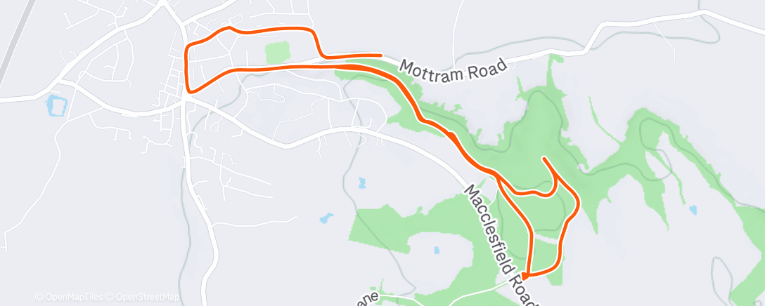Map of the activity, Alderley woods