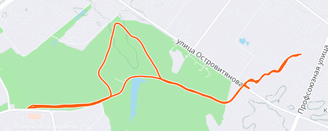 Map of the activity, Вечерний забег