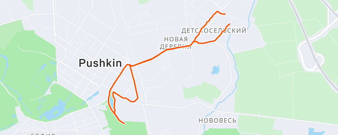 Map of the activity, Утренний забег