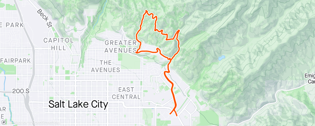 Map of the activity, Lunch Loop