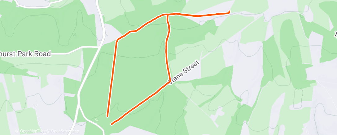 Map of the activity, Morning Run