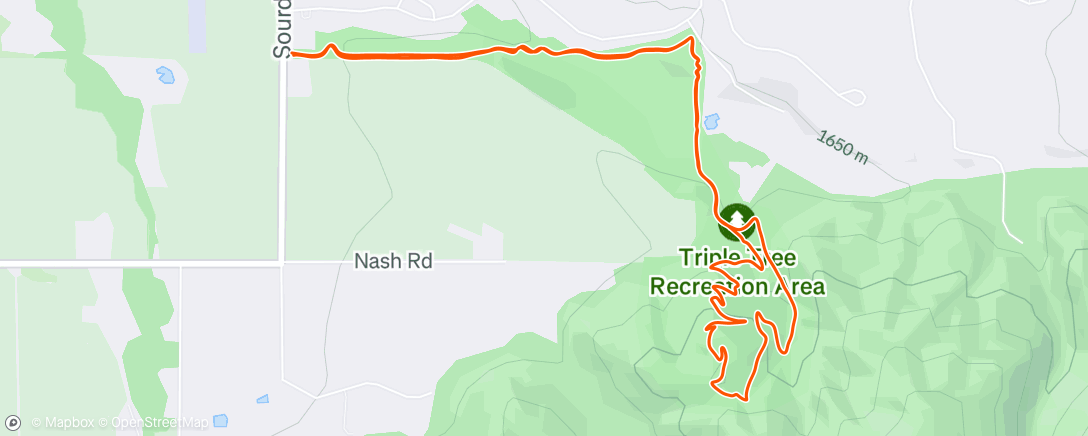 Map of the activity, Triple tree
