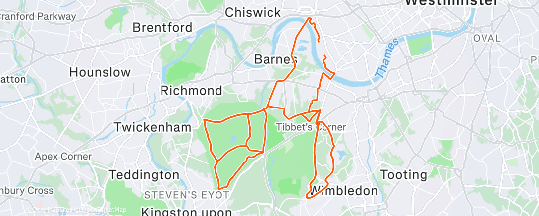 Карта физической активности (BAU)