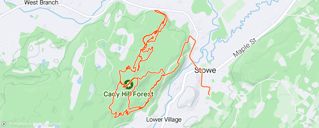 Map of the activity, MTB 101 with Michelle
