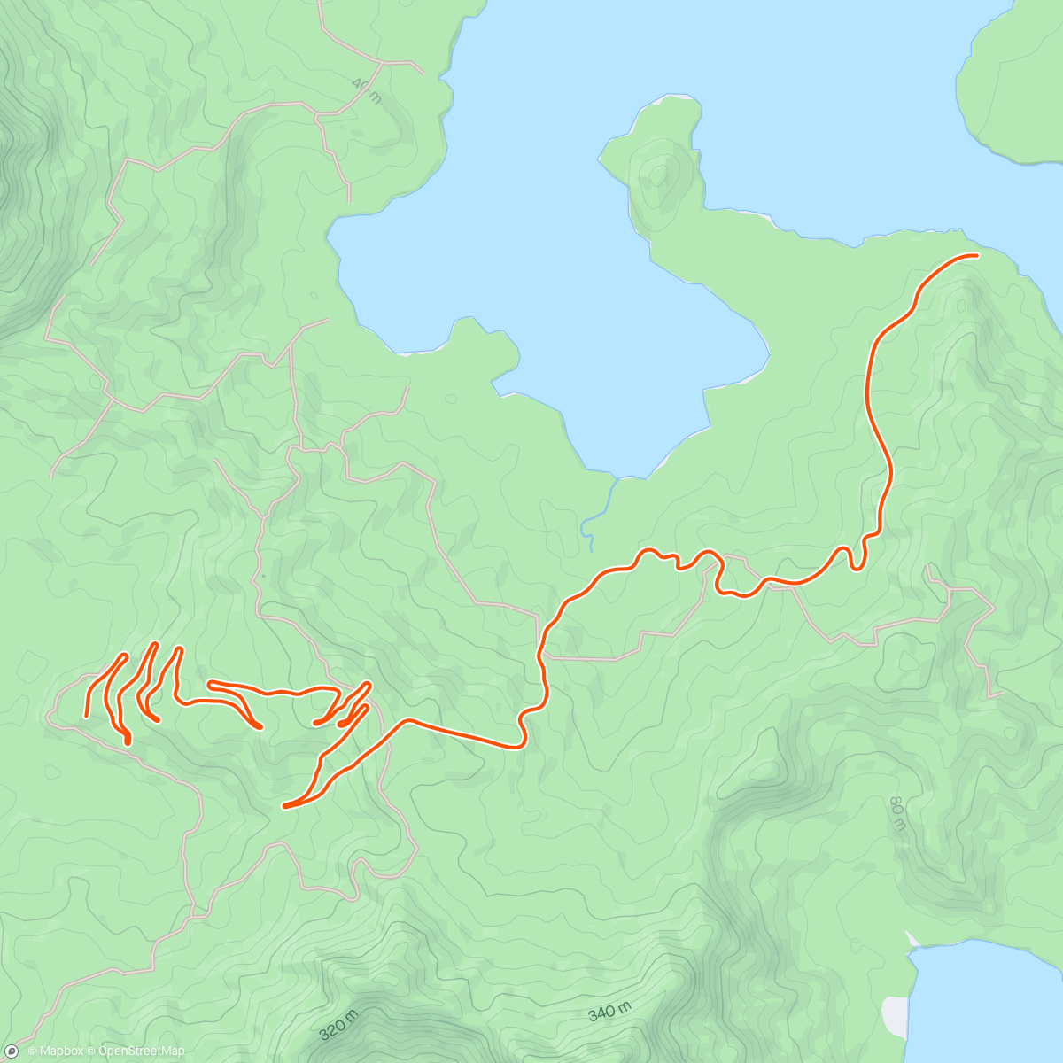 Map of the activity, Zwift - Carson in Watopia