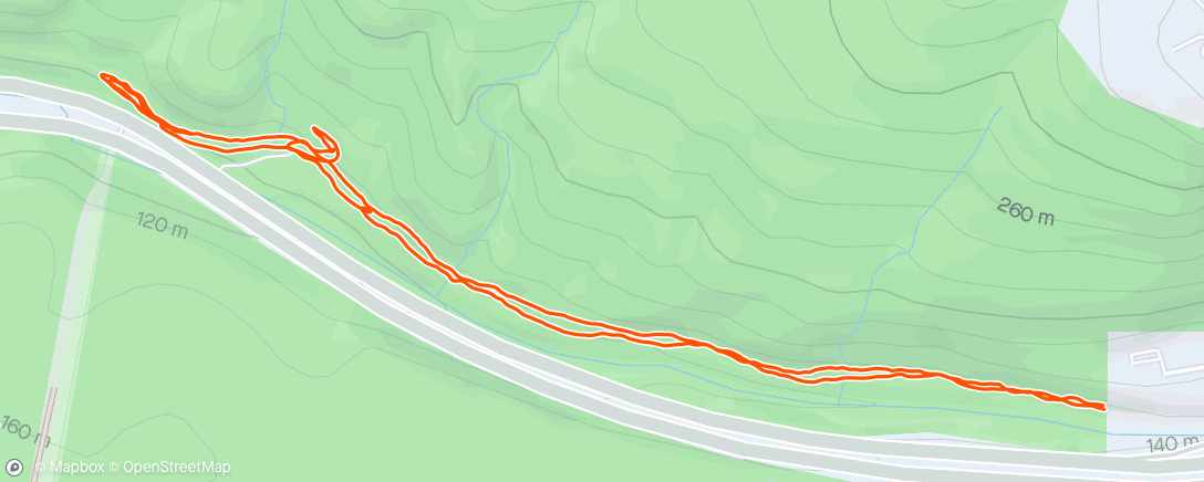 Mapa da atividade, Zone 1-2 mainly, with downhill strides
