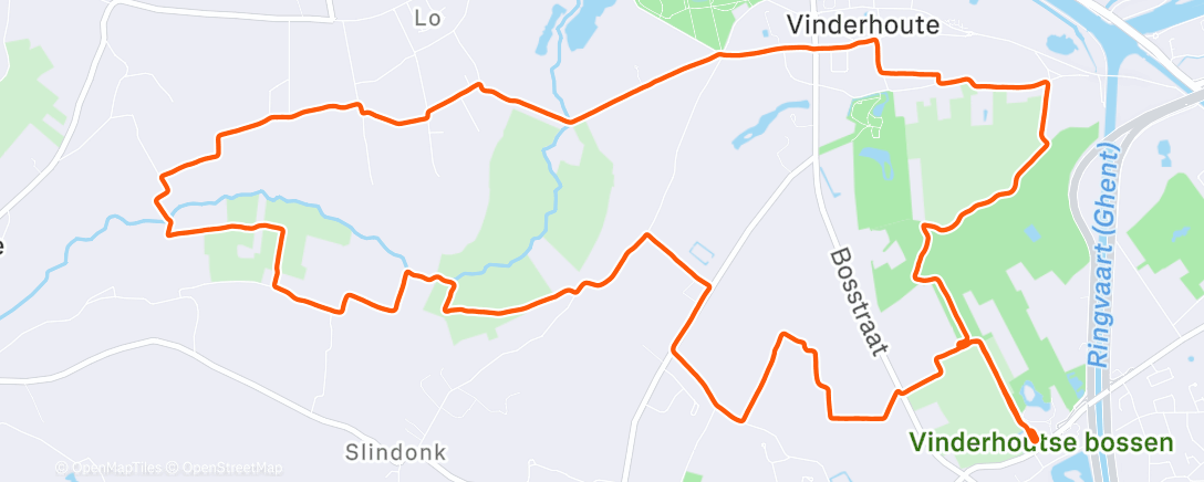 Map of the activity, Morning Run