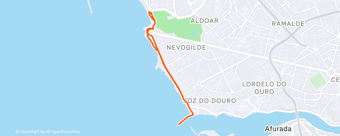 Map of the activity, Morning Run