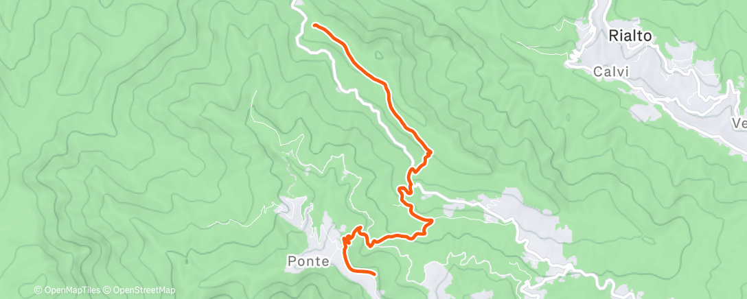 Карта физической активности (Fahrt am Morgen)