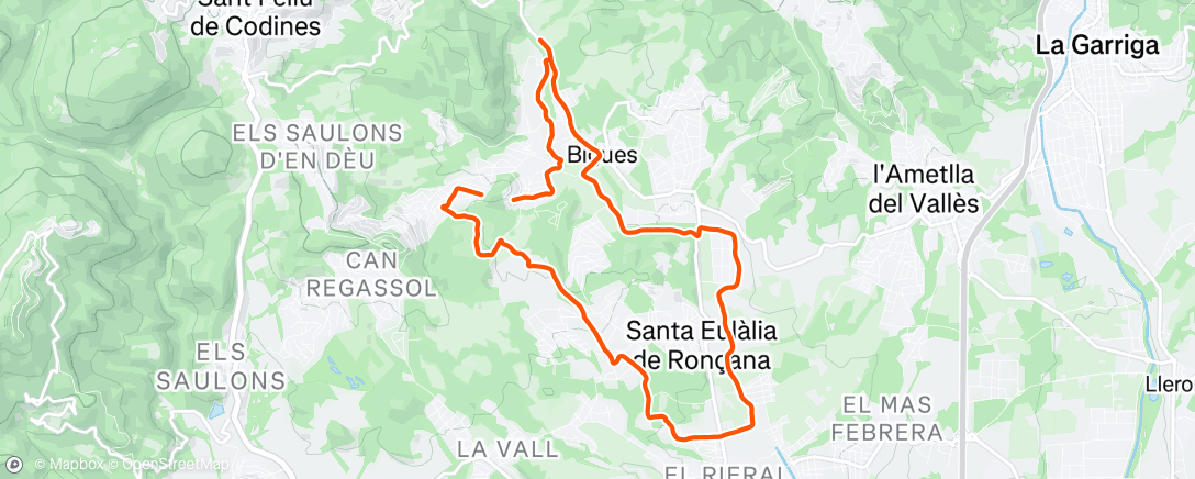 Map of the activity, Morning Trail Run