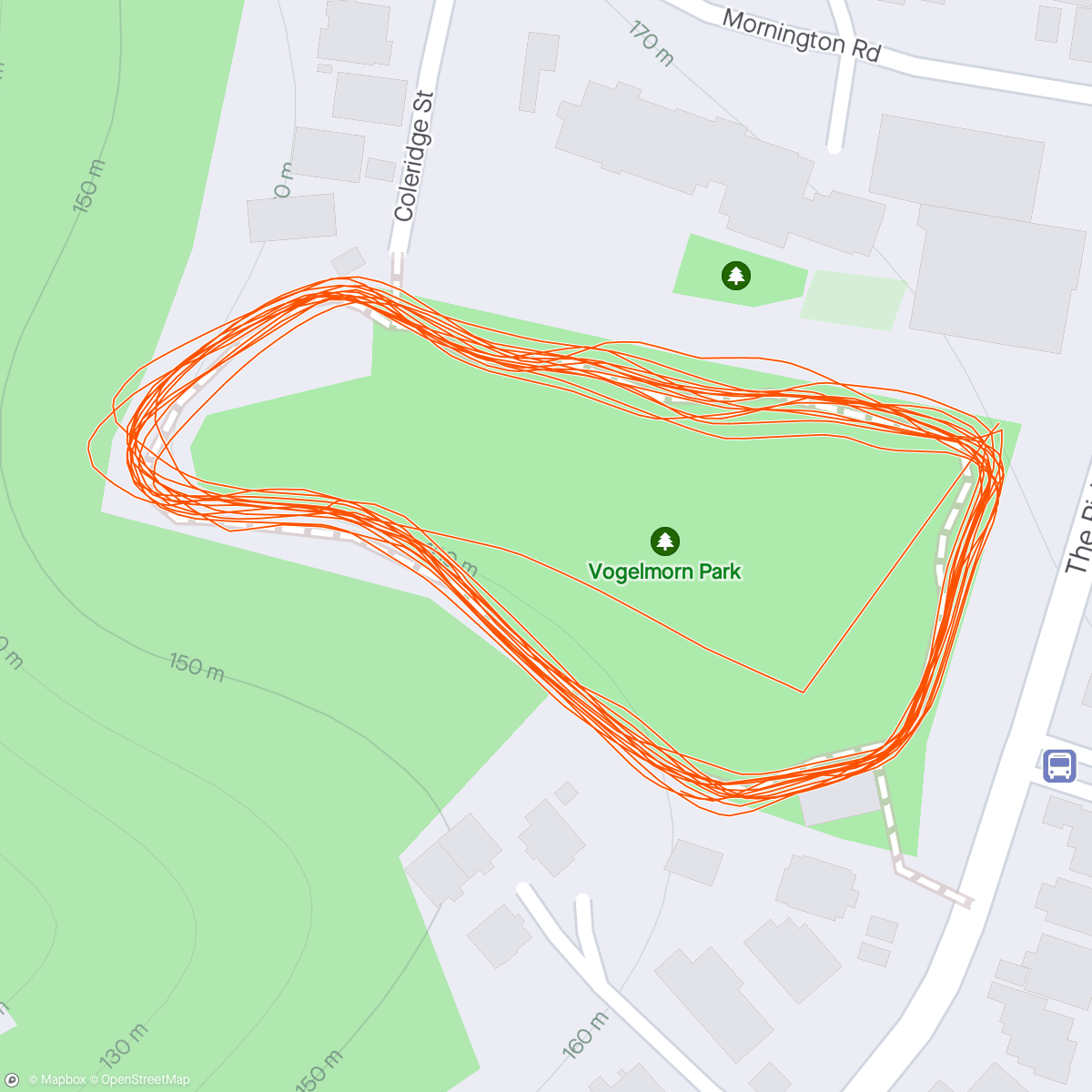 Map of the activity, Ridgeway. 3 kids. GPS error