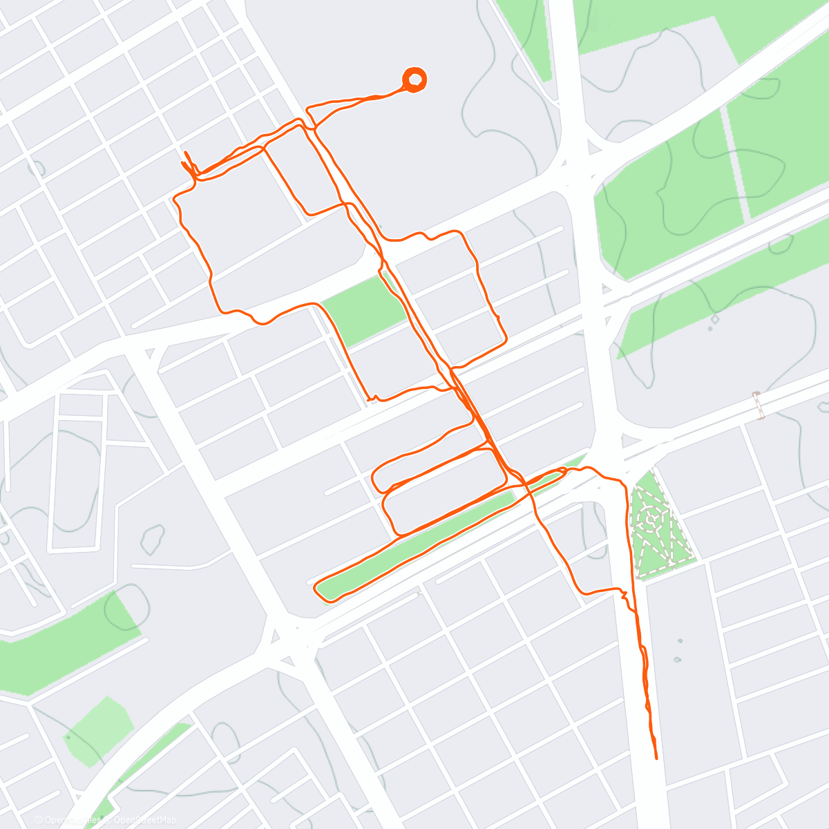 Map of the activity, 1346 + Bibi was asleep + 2StepN