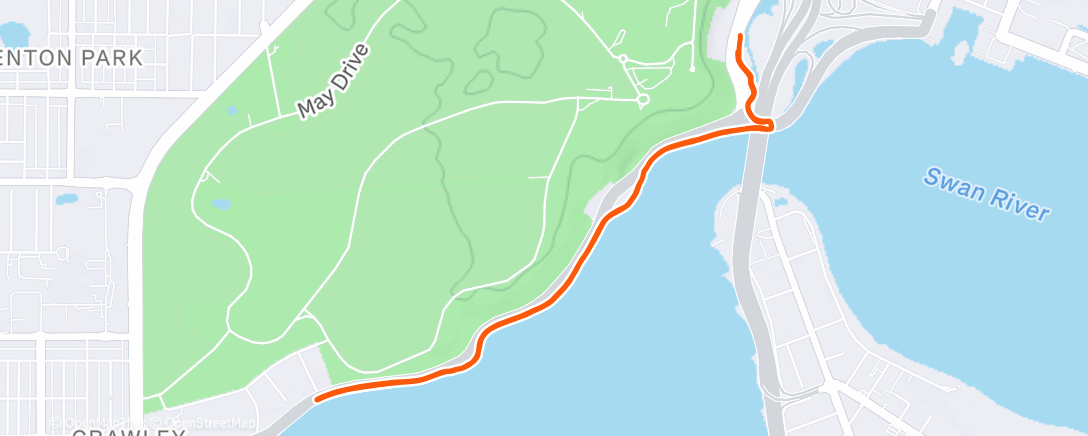 Карта физической активности (Morning Run)