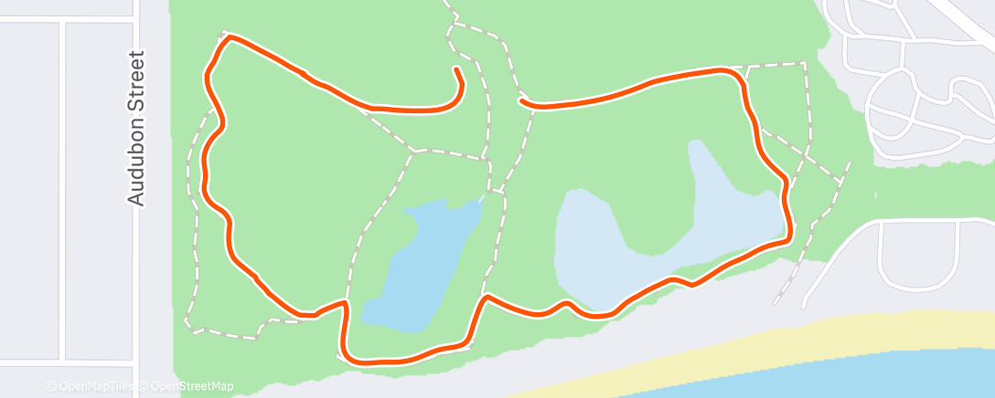 Карта физической активности (Morning Walk)