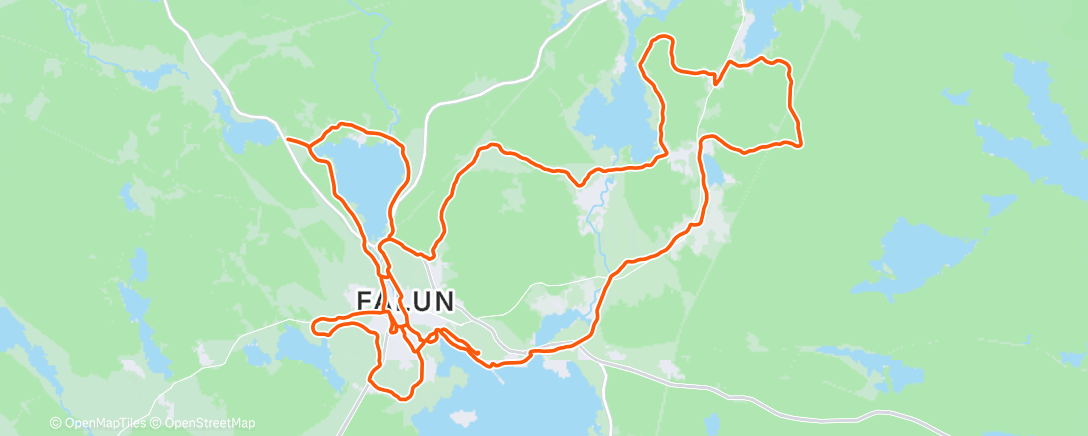 Map of the activity, Hagströmska
