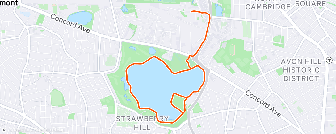 Map of the activity, FP around FP at FP plus FP